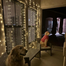 Load image into Gallery viewer, LED Curtain Lights – USB Powered 8 Modes Fairy String Lights with Remote & Timer, Warm White or Multicolour Window & Wall Decoration for Bedroom, Wedding, Party & Christmas Décor,Lighting,Nightlight,Gift