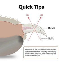 Load image into Gallery viewer, Professional LED Pet Nail Clipper and Nail File with Bright LED Light Safe and Easy Trimming for Cats and Dogs Essential Pet Care Tool to Avoid Over Cutting Perfect Grooming Accessory for Home Use,Suitable for cats and small dogs
