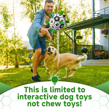 Load image into Gallery viewer, Durable Dog Soccer Ball with 9 Grab Tabs for Outdoor &amp; Water Play, Perfect Gift for Pets,Herding Ball for Dogs,Get your dog in on the Halloweenfun with a dog soccer ball

