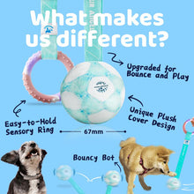 Load image into Gallery viewer, 【New】Interactive Dog Toys Dog Ball,Durable Active Rolling Ball Wicked Ball,Automatic Moving Bouncing Rotating Ball for Puppy/Small/Medium Dogs,Fun and Engaging Gift active  rolling  ball  dogs interactive  dog  toys
