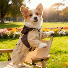 Load image into Gallery viewer, Hooded Dog and Cat Clothing,Pet Raincoat, 1 Count Waterproof Pet Clothing, Small Dog Pet Clothing, accommodating different body shapes of pets
