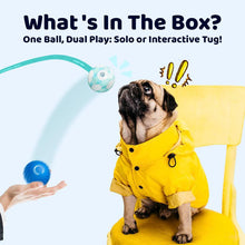 Load image into Gallery viewer, 【HOT】Interactive Dog Toys Dog Ball,Durable Active Rolling Ball Wicked Ball,Automatic Moving Bouncing Rotating Ball for Puppy/Small/Medium Dogs,Fun and Engaging Gift active  rolling  ball  dogs interactive  dog  toys,For pet
